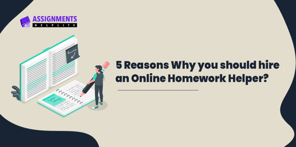 Online Homework Help Homework Help Homework Helper 1024x510