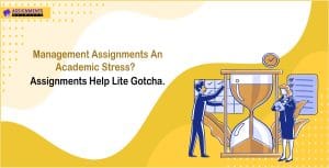 management-assignment-help