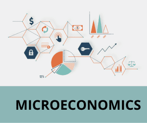 do-my-macroeconomics-homework-macroeconomics-homework-macroeconomics-homework-help