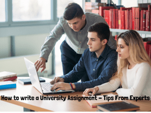 University Homework Helpuniversity Assignment Help University Assignment Service University Coursework Writing Services Homework Help University 300x225
