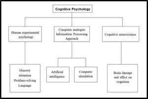 Cognitive Psychology Diagram